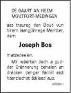 Bos Joseph3.jpeg