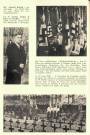 CLAUSEN_Friedhof_Extrait_Livre_Luxembourg_Martyr_1940_1945_Tome_1_1945_EG.jpg