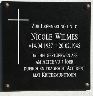 Wilmes_Nicole_Wahl_2017.JPG